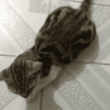 name