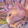 name