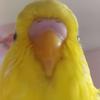 name