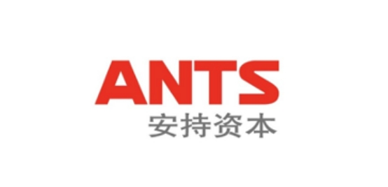 安持资本与青团社的资本投资关系